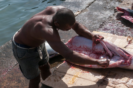 Palmeira, Cape Verde - December 2011: Fisherman is cutting a shark on the fish market