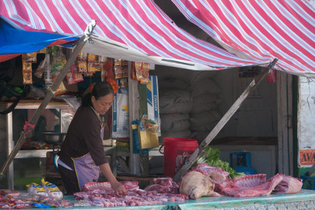 Banaue, Philippines - February 2012: Traditional market woman selling meat in her boothのeditorial素材