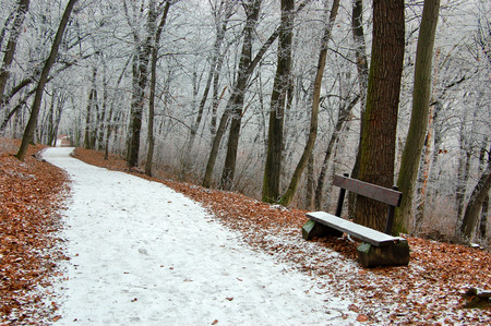 Winter kingdomの写真素材