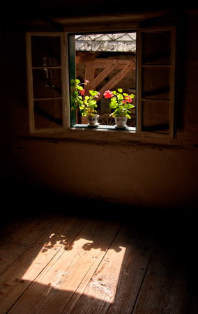 Window still-lifeの写真素材