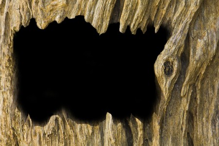 Old timber backgroundの写真素材