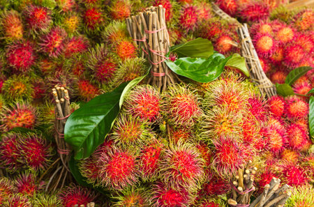 Rambutan or Hairy fruit , The popular tropical fruitの写真素材