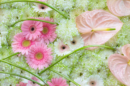 Flowers background