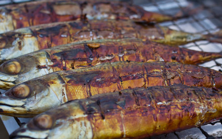 Grilled Tuna