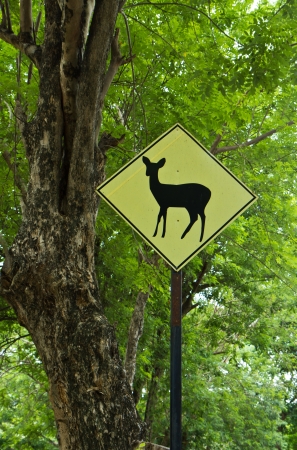 Traffic sign for deer passの写真素材