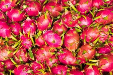 Dragon fruit backgroundの写真素材