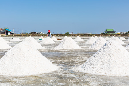 Farmer harvesting salt at salt farmの写真素材