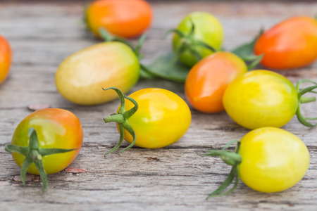 Fresh Tomatoes on woodの写真素材