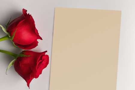 A Blank piece of note paper beside 2 red roses on a white countertopの写真素材