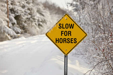 A Yellow Warning Sign reading Slow for Horsesの写真素材