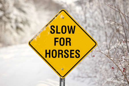 A Yellow Warning Sign reading Slow for Horsesの写真素材