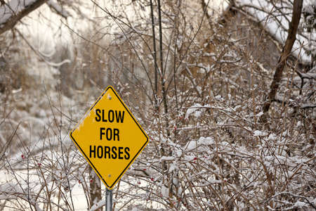A Yellow Warning Sign reading Slow for Horsesの写真素材