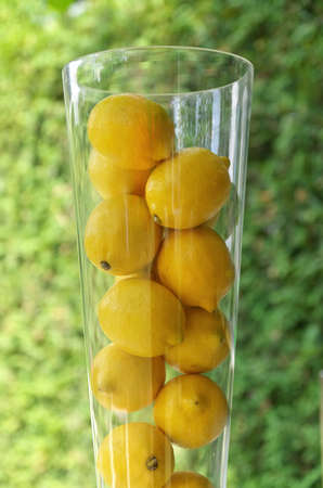 A tall glass vase or jar full of fresh plump yellow lemonsの写真素材