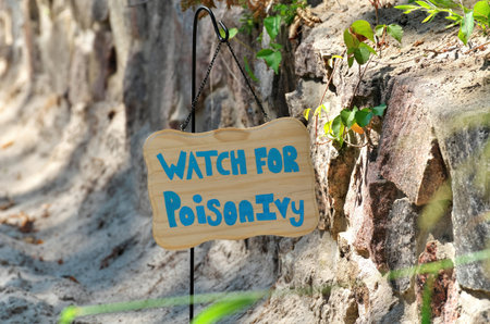 Hand Painted Watch For Poison Ivy Sign Along Sandy Beach Trail beside Vine of Poison Ivyの写真素材