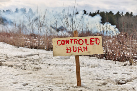 Controlled Burn on a Farm Property where Forest has been Cut Down to make more Arable Farmland
