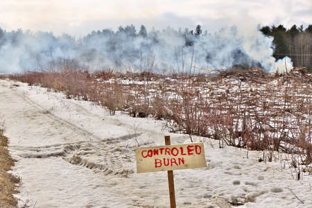 Controlled Burn on a Farm Property where Forest has been Cut Down to make more Arable Farmlandの写真素材