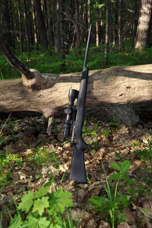 Black Hunting Rifle with Scope Optics Leaning against a fallen Treeの写真素材