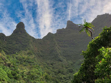 View of Towering Sea Cliffs, or Pali, Along the Kalalau Trail on the Na Pali Coast in Kapaaの写真素材