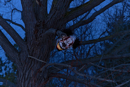 Terrifying Scary Clown Mask with Large Fangs Glows in a Spooky Tree with at Twilight or Nightの写真素材