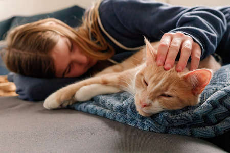 An Young Adolescent girl lying on a couch finds comfort by snuggling close to and petting her catの写真素材