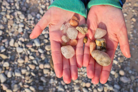 Close Up of Hands Holding Rocks and Pebbles Collected on Beach at Georgian Bayの写真素材