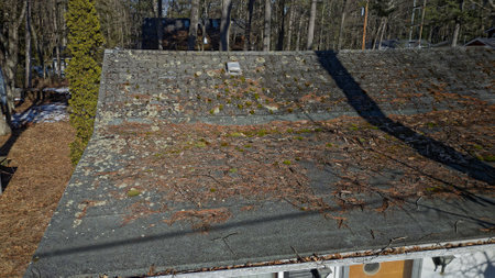 Roof in need of repair with damaged asphalt roofing shingles covered in tree debris, needles, mossの写真素材