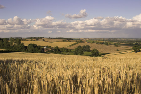 English Countryside In Nottinghamshire, England, U.K.