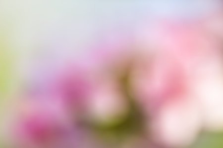 soft colored abstract backgroundの写真素材