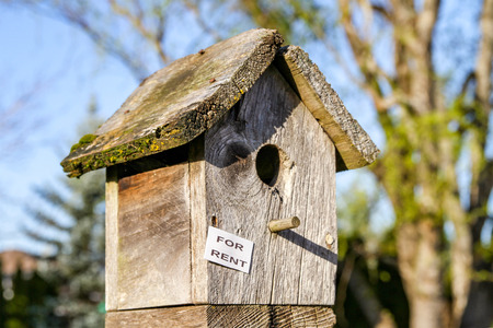 Bird-House "For Rent" in Portland Depicting the Current Housing Shortage.の写真素材