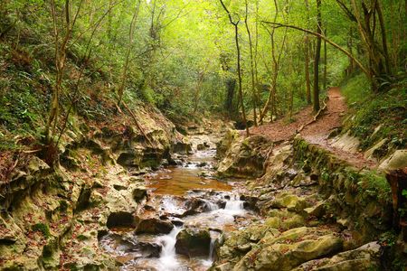 Hell's Stream (infernuko erreka), a mountain creek in the forest near Zugarramurdi's witches caves (Navarra, Spain)の写真素材