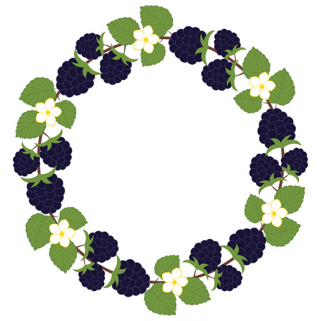 Vector blackberry wreath with leaves and flowersのイラスト素材