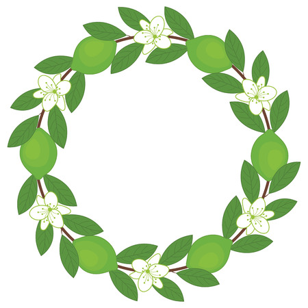 Vector lime wreath with leaves and flowersのイラスト素材