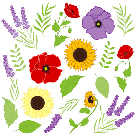 Vector provence flowers - sunflowers, poppies, lavender with leavesのイラスト素材