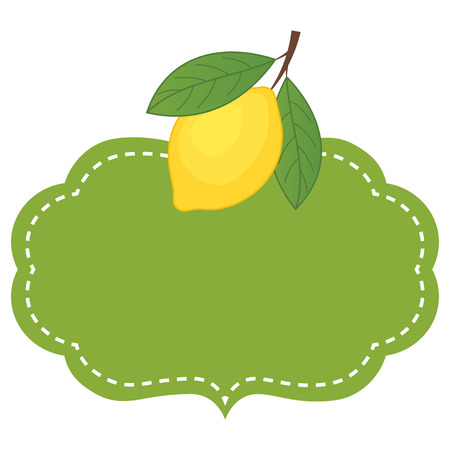 Vector green frame with lemon.  Lemon vector illustration.のイラスト素材