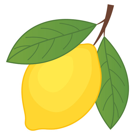 Vector lemon on white background. Lemon with green leaves. Lemon vector illustration.のイラスト素材