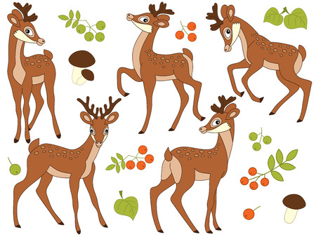 Set of cute cartoon deers. forest baby deers, mushrooms, berries and leaves. Deers illustrationのイラスト素材