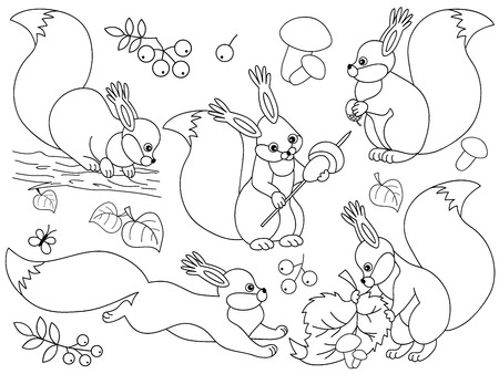 Vector set of black and white cute cartoon forest squirrels. Vector woodland squirrels, mushrooms, leaves, nuts and berries. Vector squirrels. Squirrels vector illustrationのイラスト素材