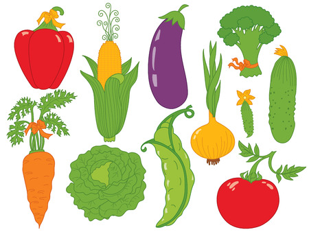 Vector vegetables set. Set includes carrot, cabbage, tomato, onion, cucumber, carrot, peas, corn, eggplant, pepper, broccoli, peas and cabbage. Vector veggies. Vegetables vector illustrationのイラスト素材
