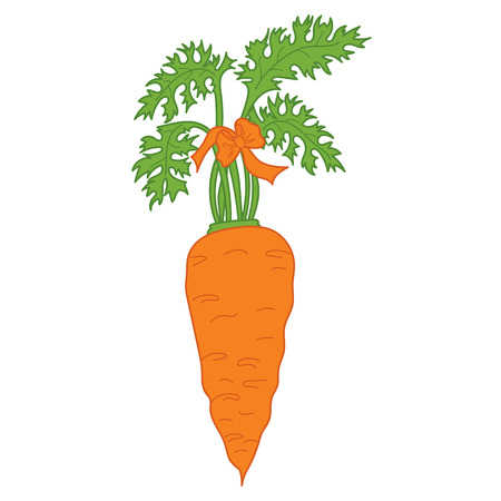 Vector fresh carrot. Vector vegetable. Carrot vector illustrationのイラスト素材
