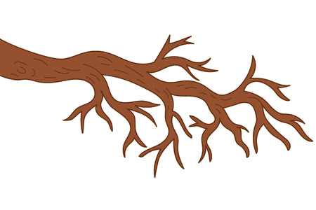 Vector bare tree branch. Tree branch vector illustrationのイラスト素材