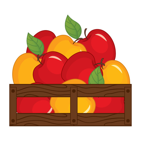Vector red and yellow apples in wooden box. Vector apples. Apples vector illustrationのイラスト素材