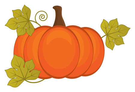 Orange Pumpkin with Leaves. Halloween Pumpkinのイラスト素材