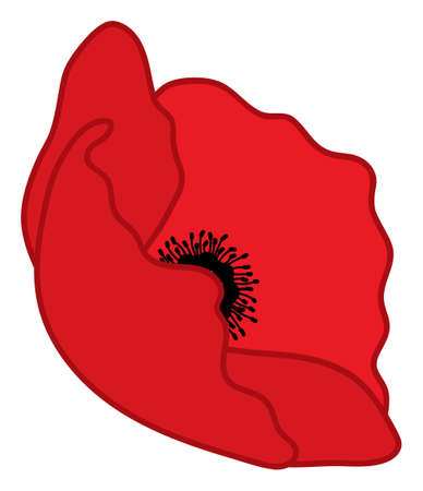 Red Poppy. Vector Poppyのイラスト素材