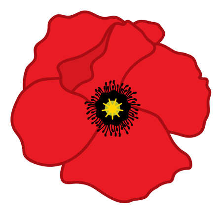 Red Poppy. Vector Poppyのイラスト素材