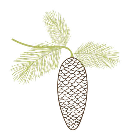 Isolated Fir Tree Branch with Coneのイラスト素材