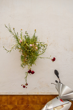 Typical decoration of whitewashed and flowered Andalusian wallsの写真素材