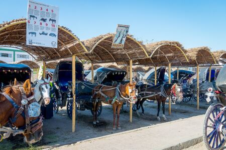 Carriages and drivers, transportation to the temple of Edfu.
Egypt April 2019のeditorial素材