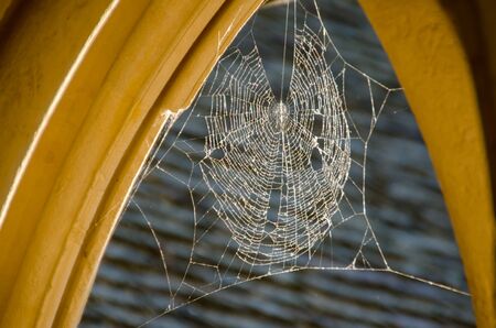 Detail of arches with spider web in Mont Saint Michael.の写真素材