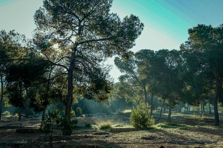 Sunrise with halos of light in the Lost Valley, Sierra de Carrascoy. Murcia, Spainの写真素材
