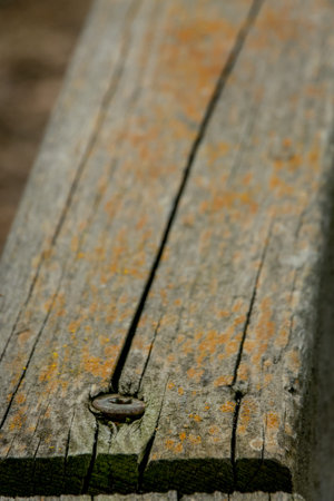 Wooden plank background with rusty screw